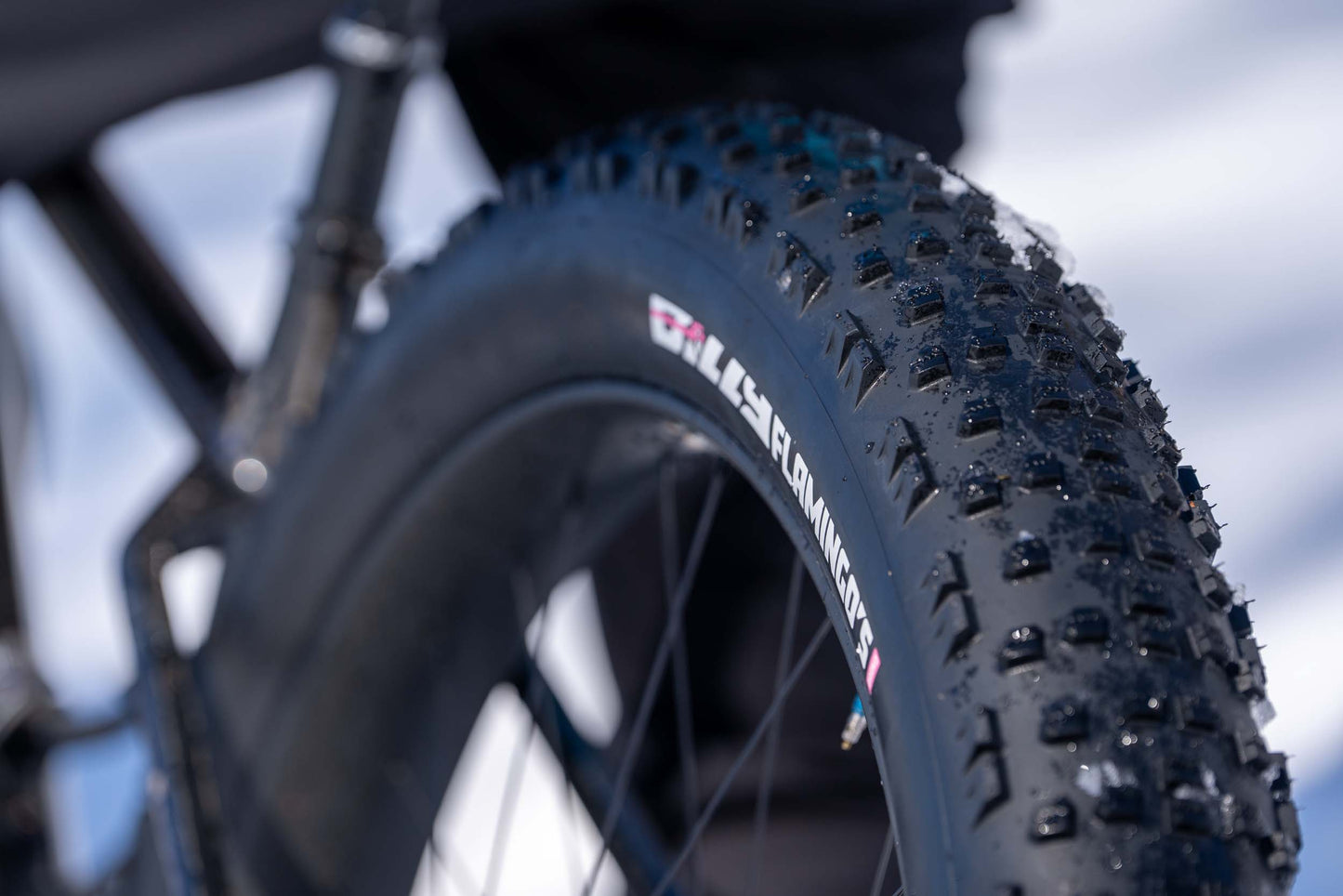 Lil’ Swamp Donkey - Non-studded Tire